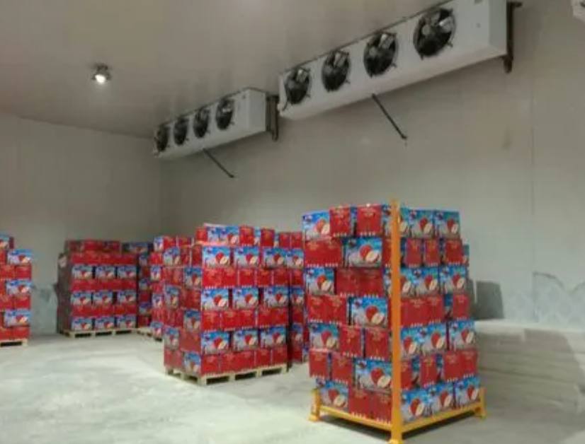 南京建設氣調冷庫需要多少費用 南京建設氣調冷庫需要多少費用