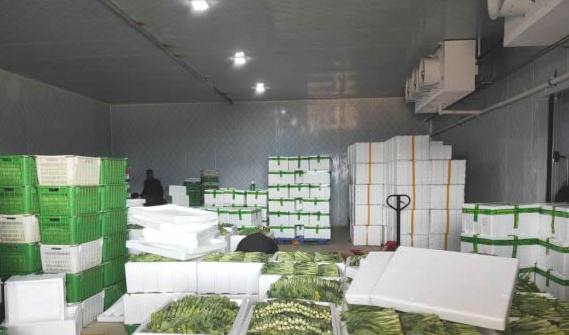 蘇州蔬菜氣調冷庫大概多少錢 蘇州蔬菜氣調冷庫大概多少錢