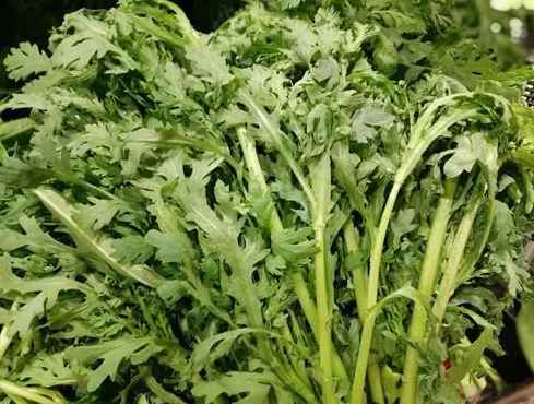 茼蒿冷庫保鮮儲存方法 茼蒿冷庫保鮮儲存方法