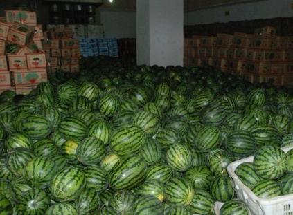 小型西瓜保鮮冷庫安裝多少錢 小型西瓜保鮮冷庫安裝多少錢