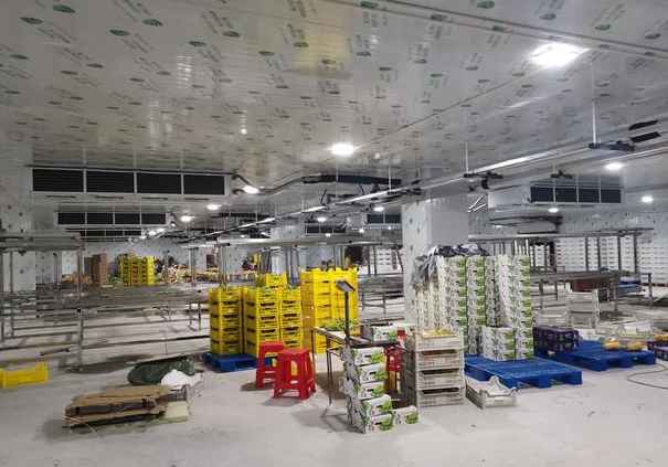 葡萄冷庫保鮮庫存多久 葡萄冷庫保鮮庫存多久