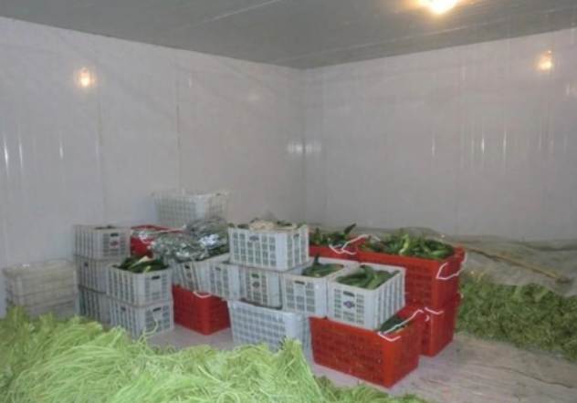 冷庫價格揭秘：影響冷庫造價的關鍵因素有哪些？