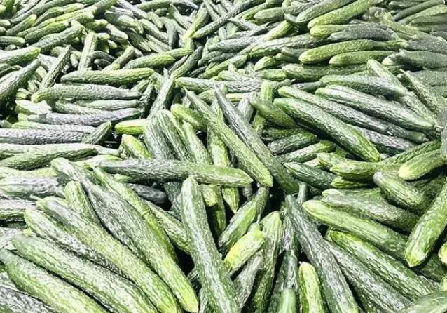 建900平米黃瓜保鮮冷庫安裝多少錢 建900平米黃瓜保鮮冷庫安裝多少錢