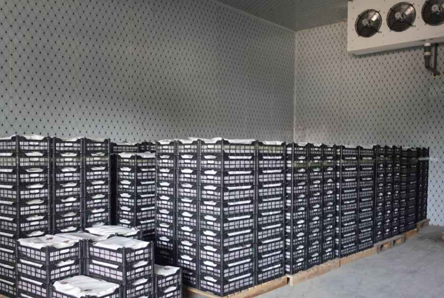 冷庫門密封效果維護(hù)和修理辦法? 冷庫門密封效果維護(hù)和修理辦法?